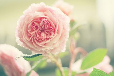 ​霸气个性十足的个性签名大全(56句)