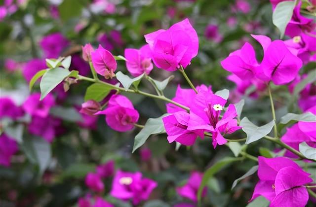 朋友圈说说对生活迷茫的句子 朋友圈说说对生活迷茫的句子