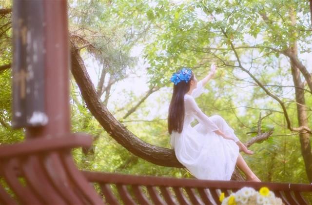 往后一个人好好的生活的说说 往后一个人好好的生活的说说