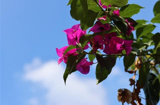 少年感情qq网名(精选176个) 少年感情qq网名(精选176个)