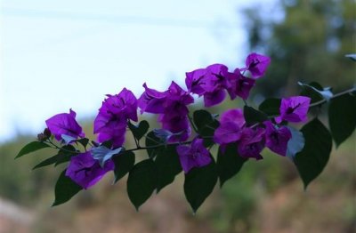 ​心平气和的网名小众 与世无的微信网名