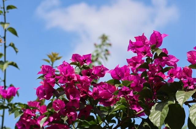 男生霸气十足的网名(精选183个)