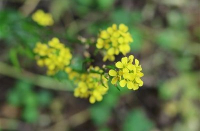 ​好听的微信情侣网名一男一女(123个)