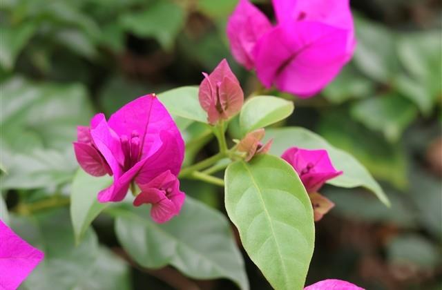 好听的男性网名(共165个) 好听的男性网名(共165个)