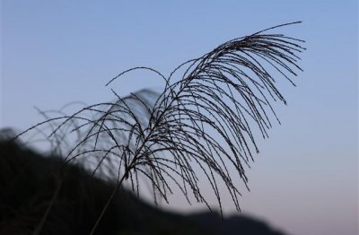 ​2024女宝名字有美好寓意和期望