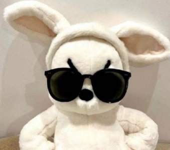 ​未来可期励志短句 未来可期唯美句子合集55句