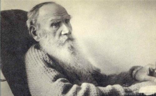 描写春天花朵绽放的优美句子