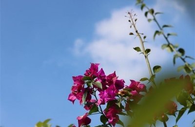 ​春天出生的小孩取什么名字好?