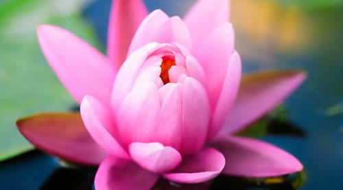 起个好网名400个