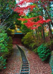 ​qq昵称各种字符(qq昵称36个字符)