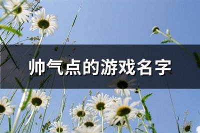 ​帅气点的游戏名字(509个)