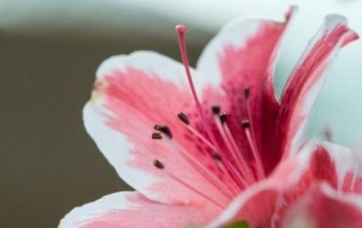 ​关于给自己信心的句子 信心的励志句子(88句)