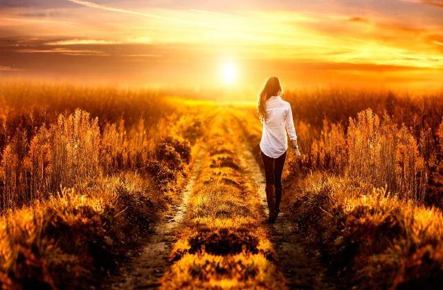 中英结合的唯美网名(共72个) 中英结合的唯美网名(共72个)