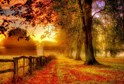 ​带帅鹅的网名大全女生