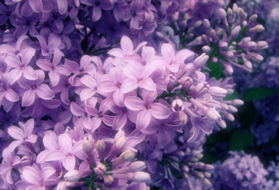 简单的炫舞情侣名字(精选107个)