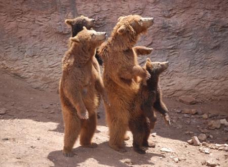 幽默的搞怪网名