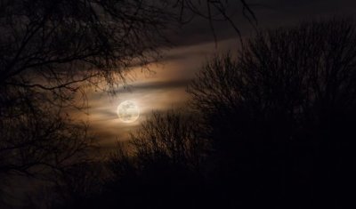 ​霸气的黑暗系英文名 高贵黑暗的血族名字大全