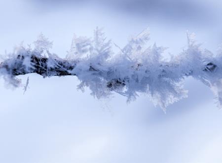 qq好网名，最新好听的qq个性昵称