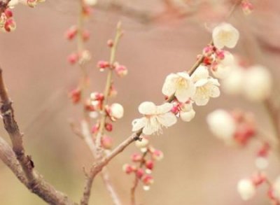 ​四个字网名，最新好听的四个字昵称