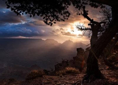 ​7个字的网名，最新好听的7个字昵称