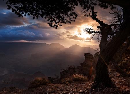 7个字的网名，最新好听的7个字昵称