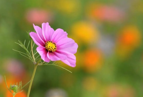 1710328059761189.png image.png