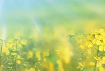 ​王者荣耀游戏名古风伤感