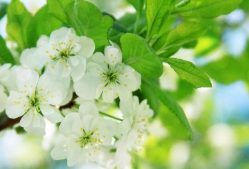 1710328226819927.png image.png