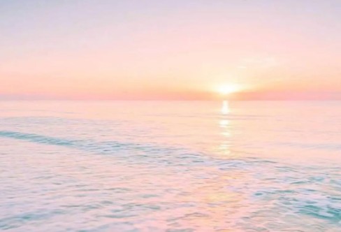 1710326392840582.png image.png