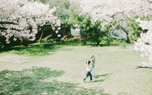 带泰的男孩名字及寓意