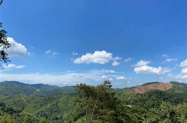 史上最长的伤感网名(共228个) 史上最长的伤感网名(共228个)