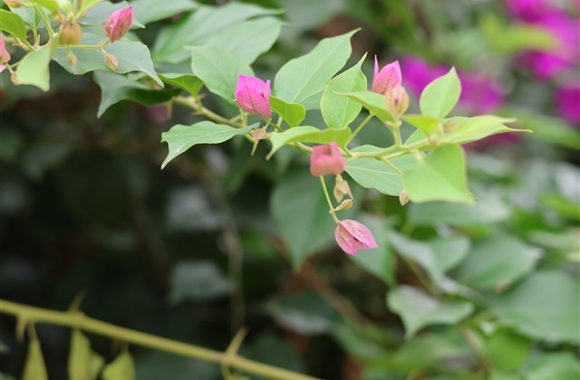 伤感至极的男生孤独网名(共339个) 伤感至极的男生孤独网名(共339个)