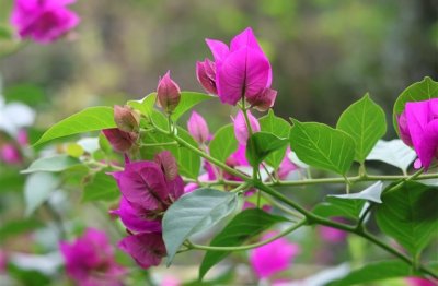 ​好听长一点的伤感网名(优选179个)