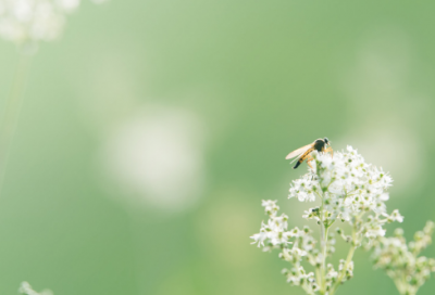 ​好听的伤感的网名219个