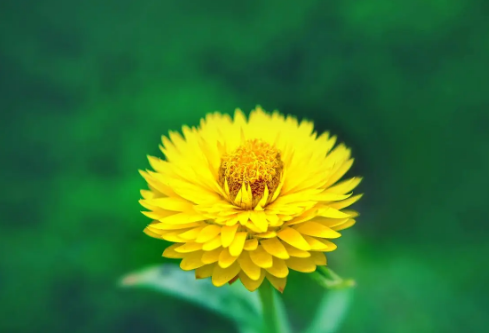 1683991407792172.png image.png