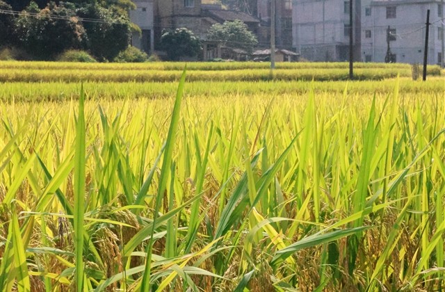 心碎心痛的伤感网名(142个) 心碎心痛的伤感网名(142个)