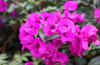 ​dnf伤感男名字(153个)