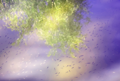 ​一个字的伤感网名(优选240个)