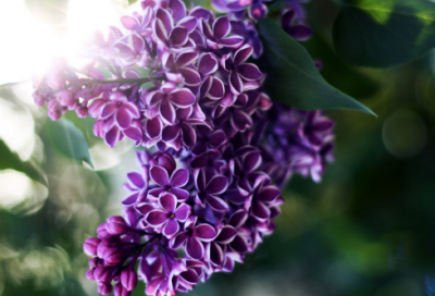 ​伤感流泪的QQ经典网名(共132个)