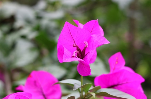 看透人心看透一切网名 看透一切伤感绝望网名