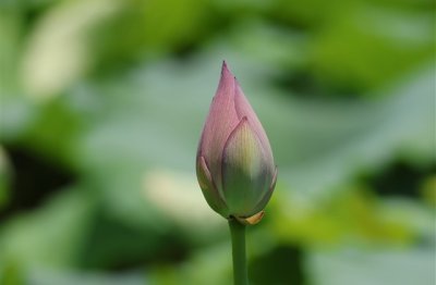 ​搞笑联盟名字