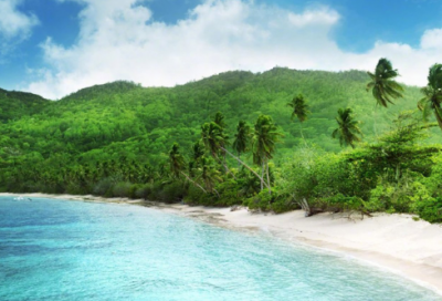 ​最新流行的网名(精选103个)