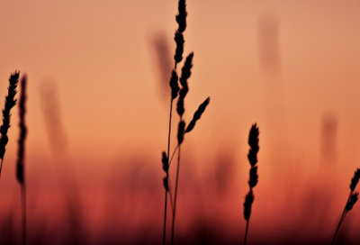 ​吉祥好兆头的网名三个字(优选96个)