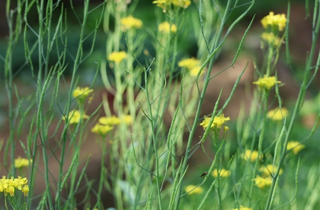 神魔大陆好听的名字 神魔大陆好听的名字
