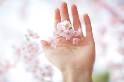 2026年qq网名伤感74句