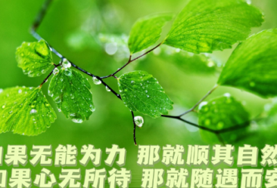 抖音句子励志简短2026（精选）