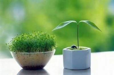 形容没钱好无奈的句子 2026年没钱寸步难行的句子