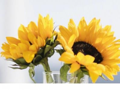 ​人生感悟语（感悟人生哲理句子）