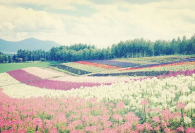 ​qq游戏情侣名字610个