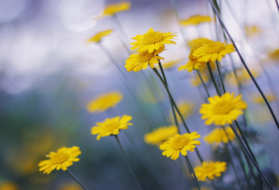 ​伤感网名男500个